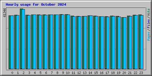 Hourly usage for October 2024