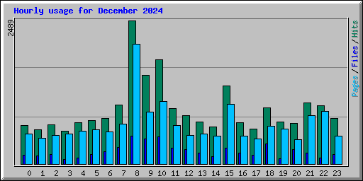 Hourly usage for December 2024