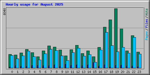 Hourly usage for August 2025